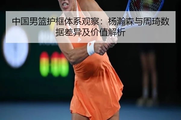 中国男篮护框体系观察：杨瀚森与周琦数据差异及价值解析